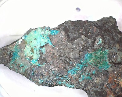 #ad 10278 Dioptase Harquahala Mine La Paz County Arizona U.S.A. Rare Micromount $6.00